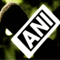 ANI News logo